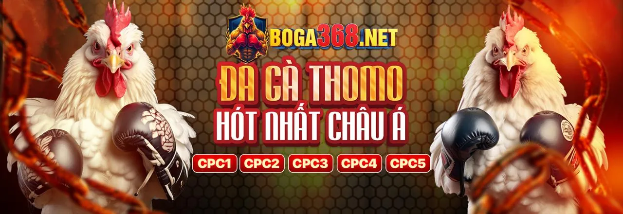 Sân đấu gà kịch tính tại 4twbet